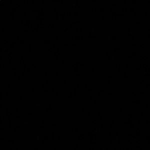 Meet your Posher, Ingrid